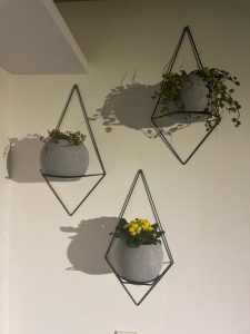 IMG_1503