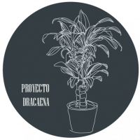 DRACAENA-01